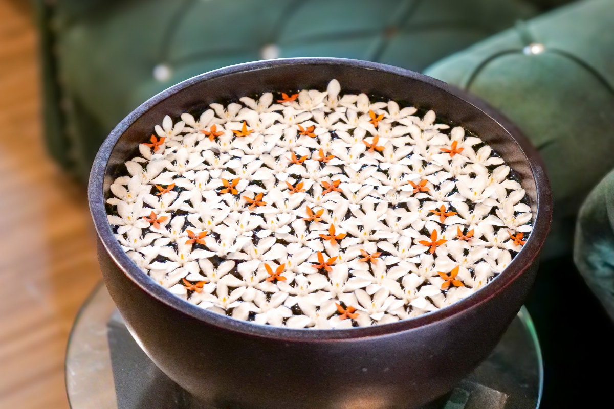 Facilities & Services